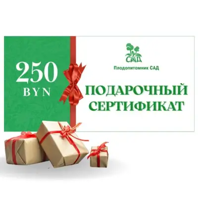 Подарочный сертификат на 250 BYN в Тольятти