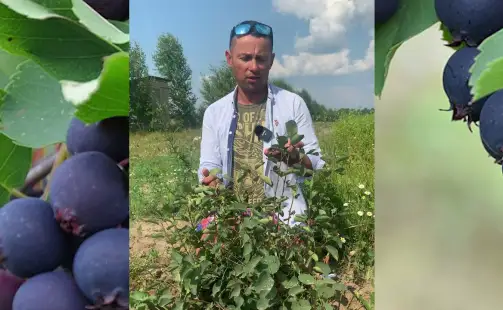 Превью видео