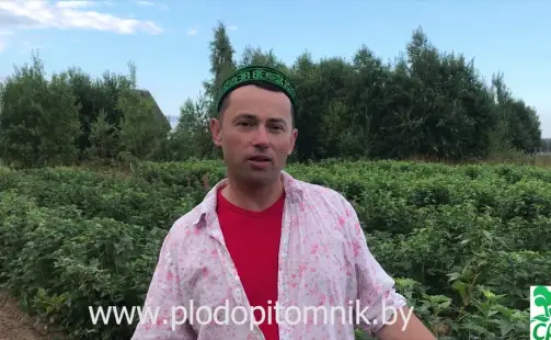 Превью видео