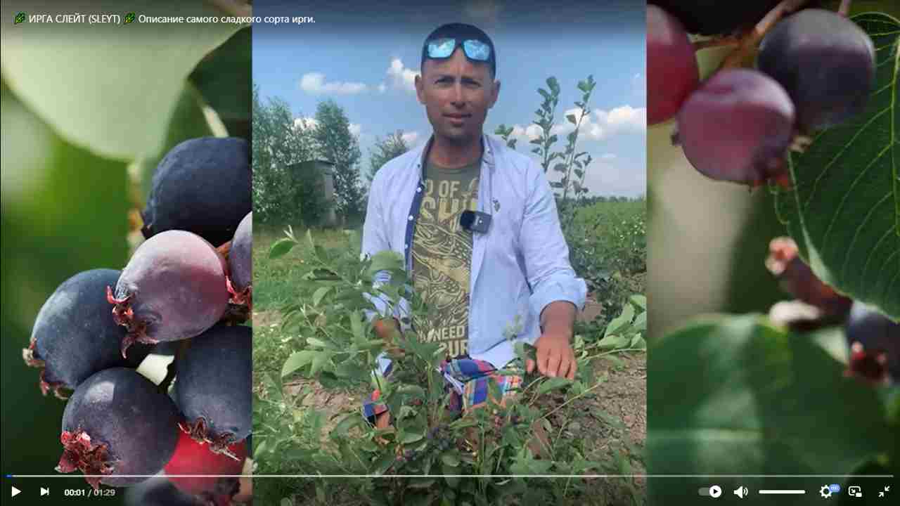 Превью видео